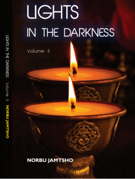 book review on light in the darkness